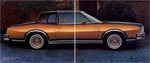 1980 Pontiac-24